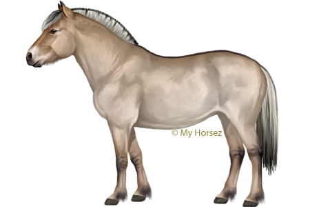 Сантехник деп аталатын секс